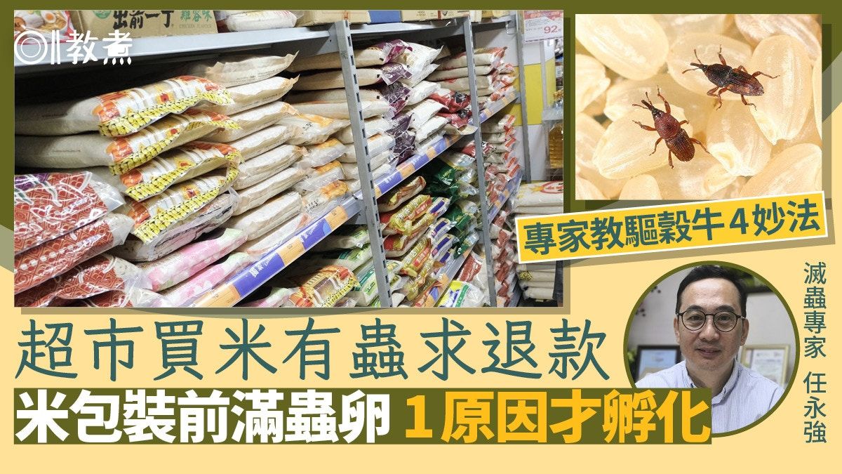 穀牛｜網民超市買米有蟲求退款 米入袋前多有蟲卵？驅穀牛4貼士