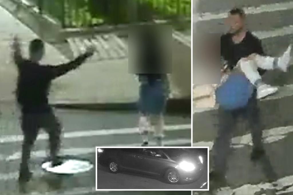 Woman whisked away into minivan on NYC street was not kidnapped: cops