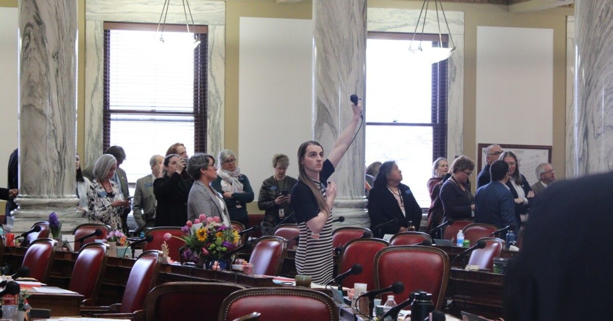 Police remove and arrest protesters in Montana House of Representatives