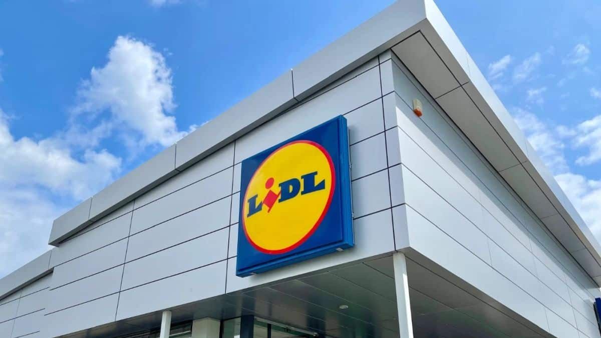 Lidl illumine votre jardin tout l'été sans dépenser 1 euro en électricité !