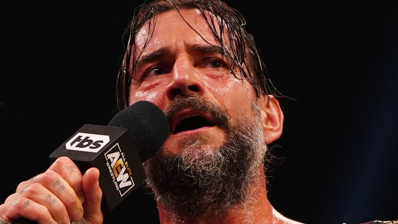 AEW Collision Will Reportedly Premiere At United Center, Feature CM Punk Appearance