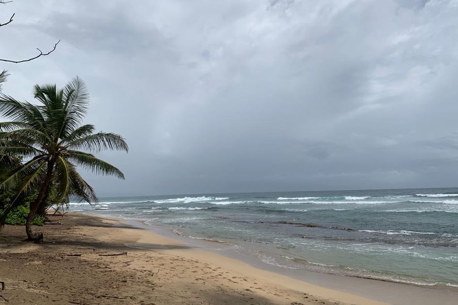 Le réchauffement du climat est-il la cause de la précocité de la tempête tropicale Bret ?