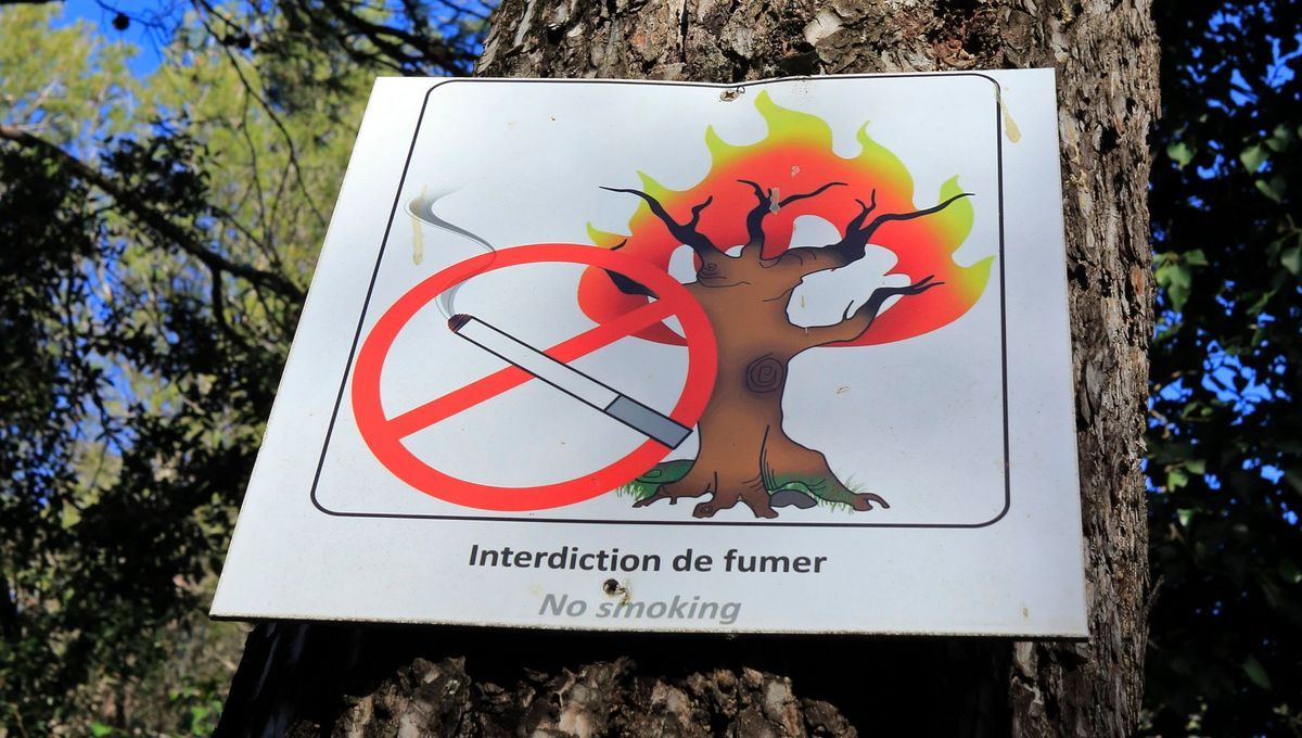 Feux de forêts : les Bouches-du-Rhône en vigilance rouge ce mardi