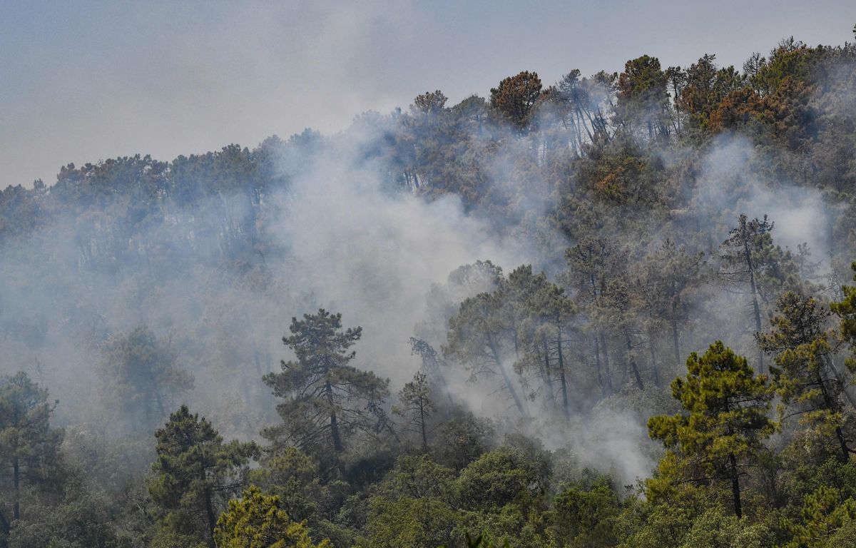 Incendies en Algérie : Au moins 34 morts dont 10 militaires dans de violents feux de forêt