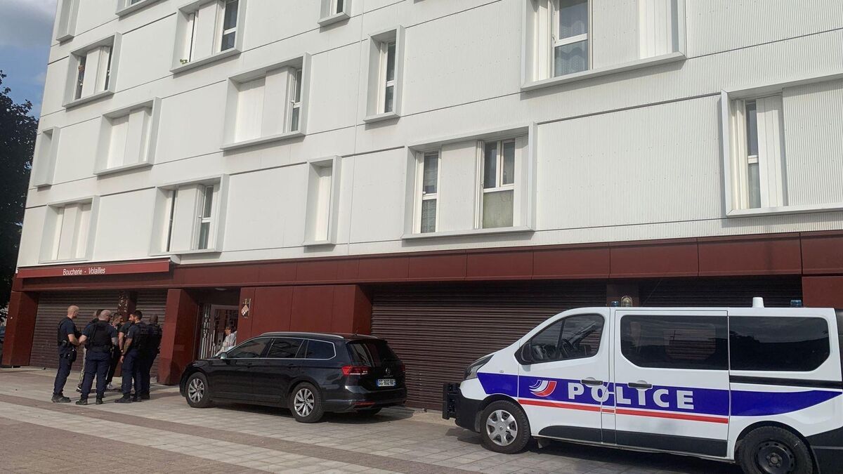 Femme retrouvée morte dans un congélateur à Grigny : les deux suspects placés en détention provisoire