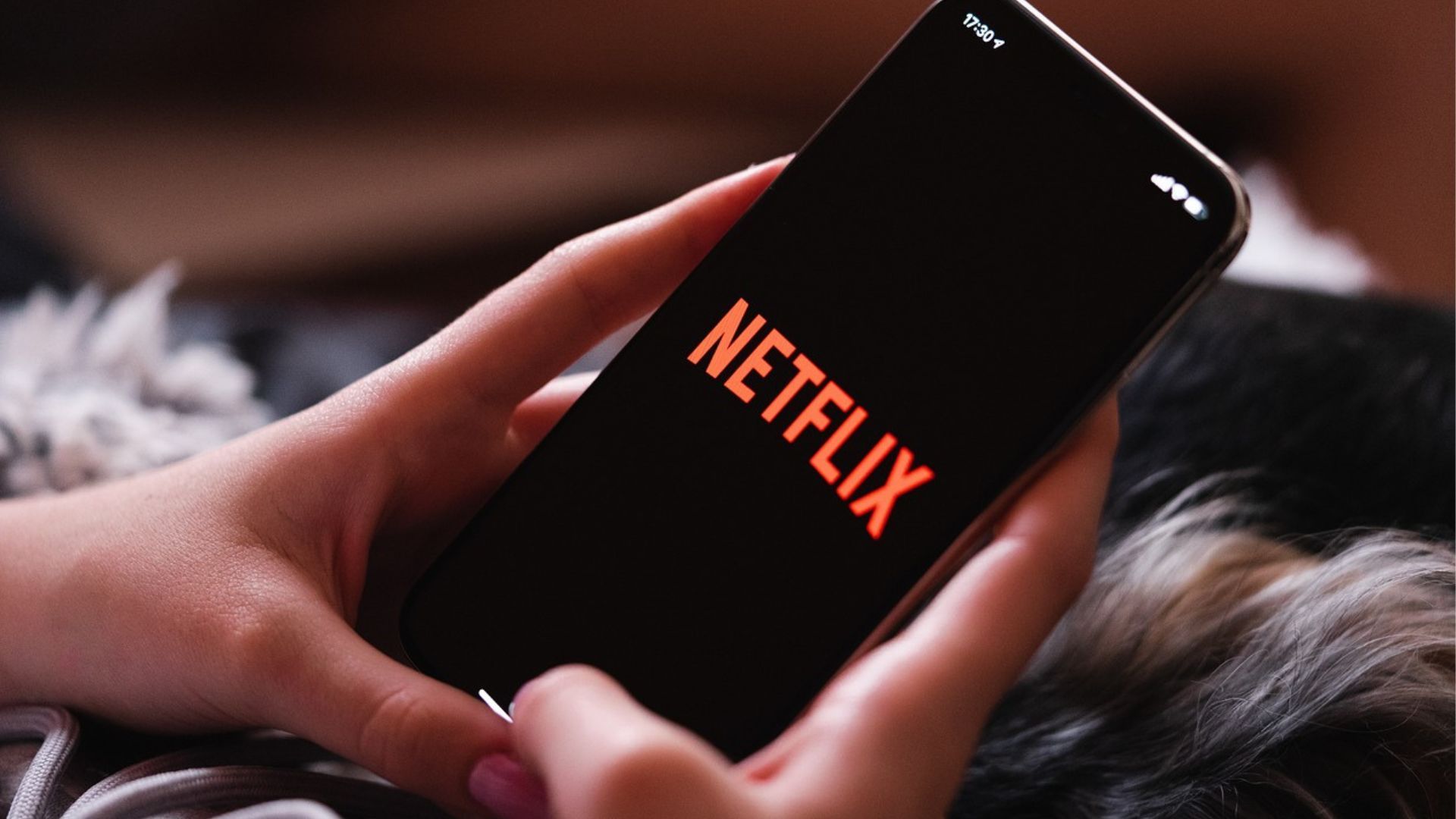 " Mon Netflix " : à quoi sert le nouvel onglet de l’app de streaming ?