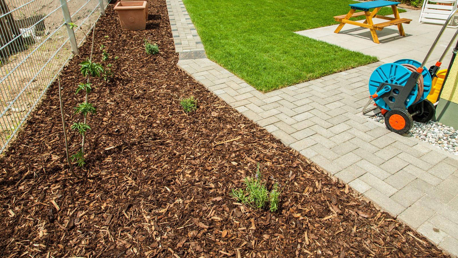 Think Twice Before Choosing Cypress Mulch For Your Lawn