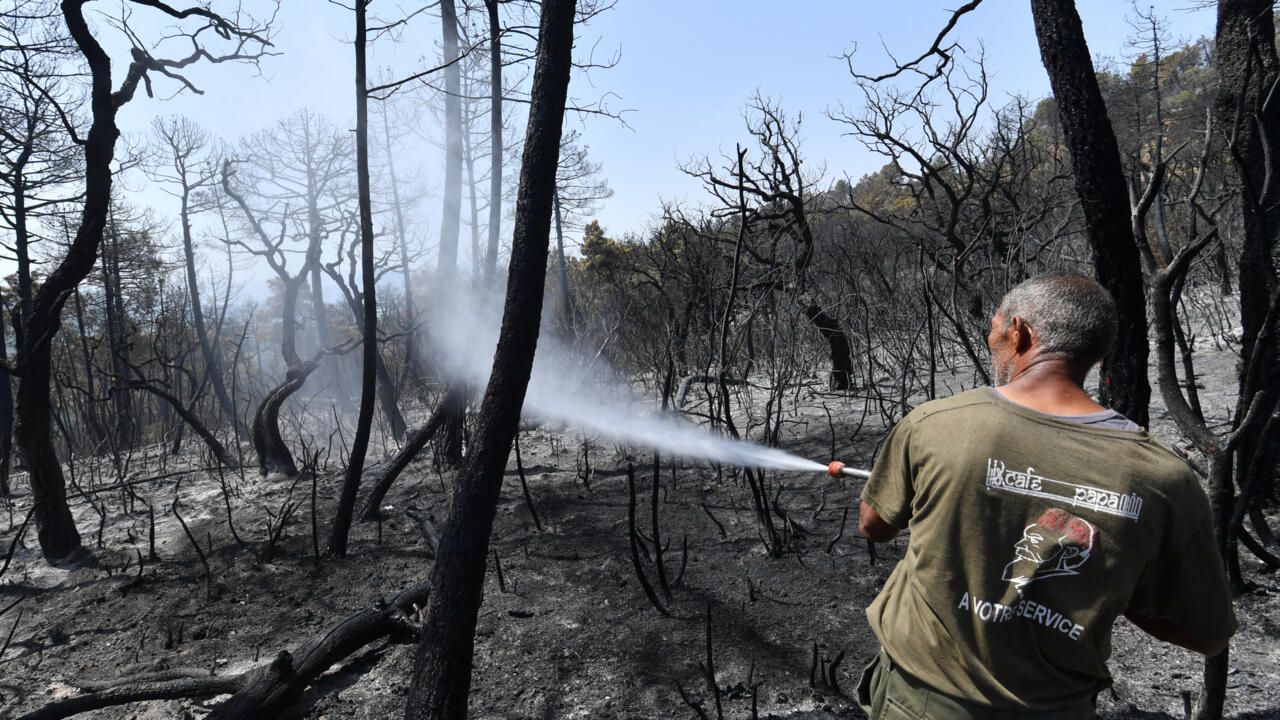 La Tunisie et l'Algérie suffoquent sous une canicule historique