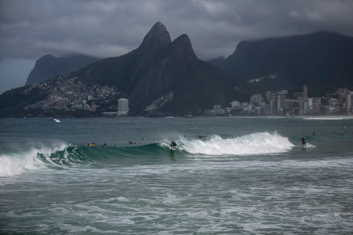 Sharks test positive for cocaine in Brazil’s drug-polluted waters