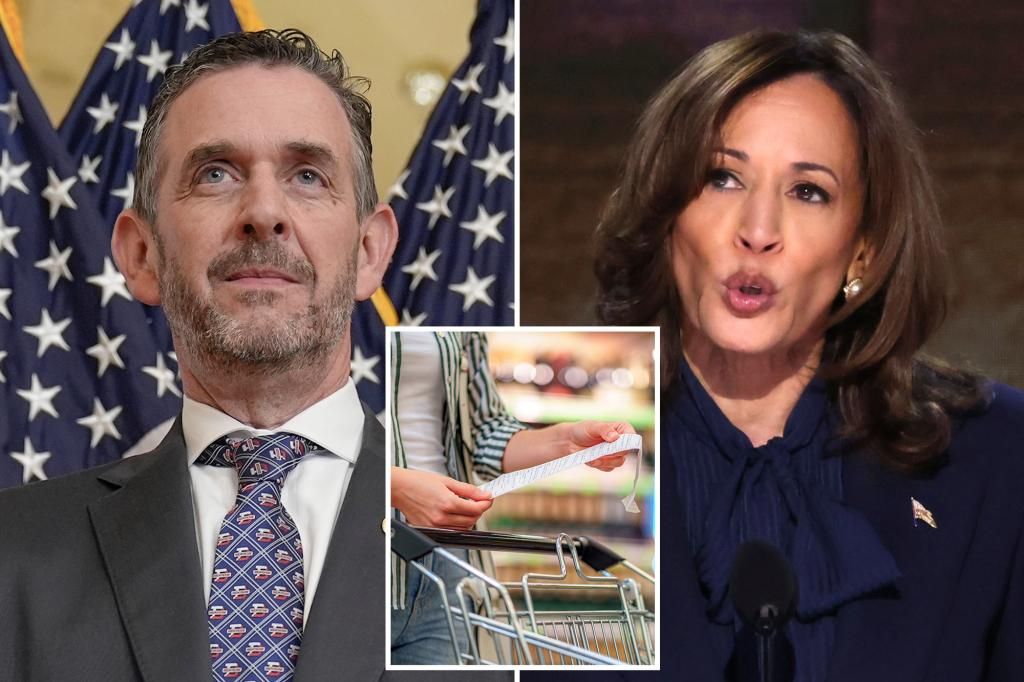 Grocer turned House GOP member denounced Kamala Harris price control plan