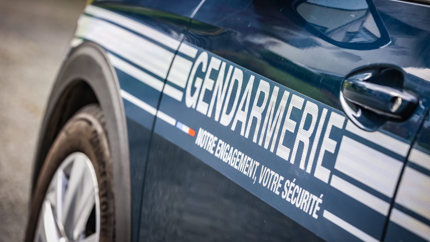 La gendarmerie du Bas-Rhin alerte sur la "disparition inquiétante" d'une jeune fille de 11 ans sur le chemin de l’école