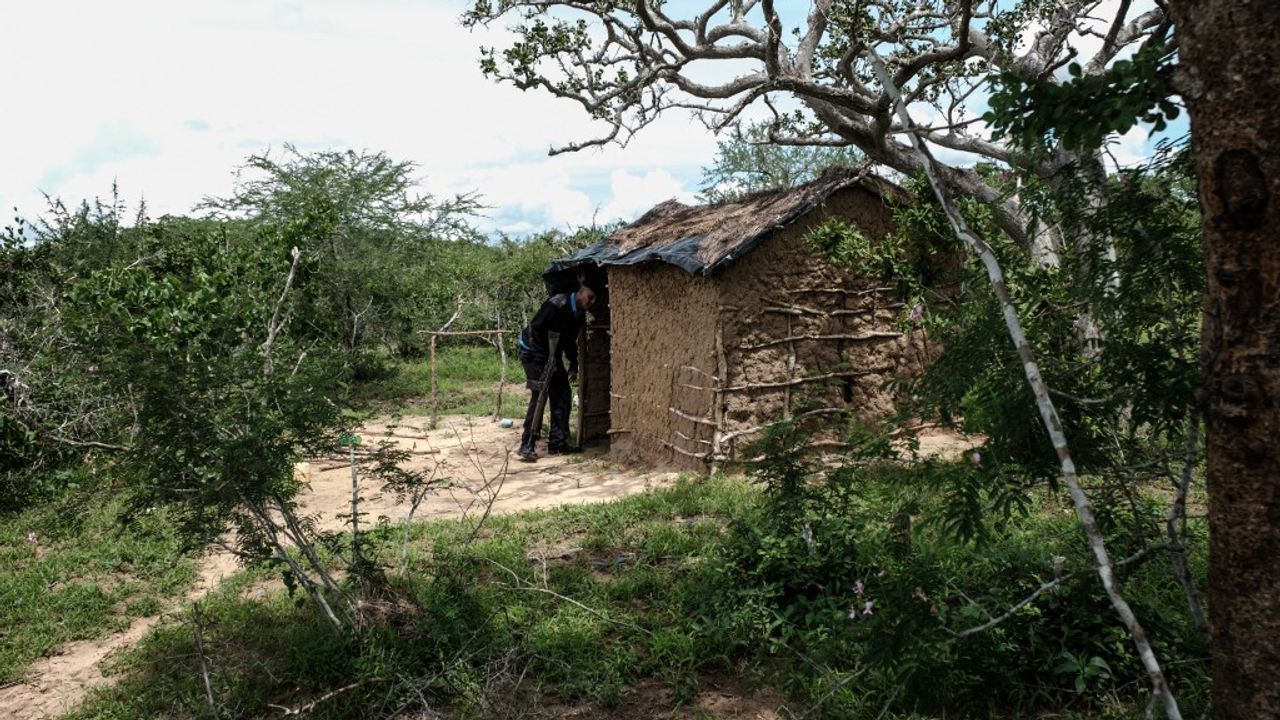 Secte au Kenya : ce que l'on sait sur le "massacre de la forêt de Shakahola" qui a fait près de cent morts