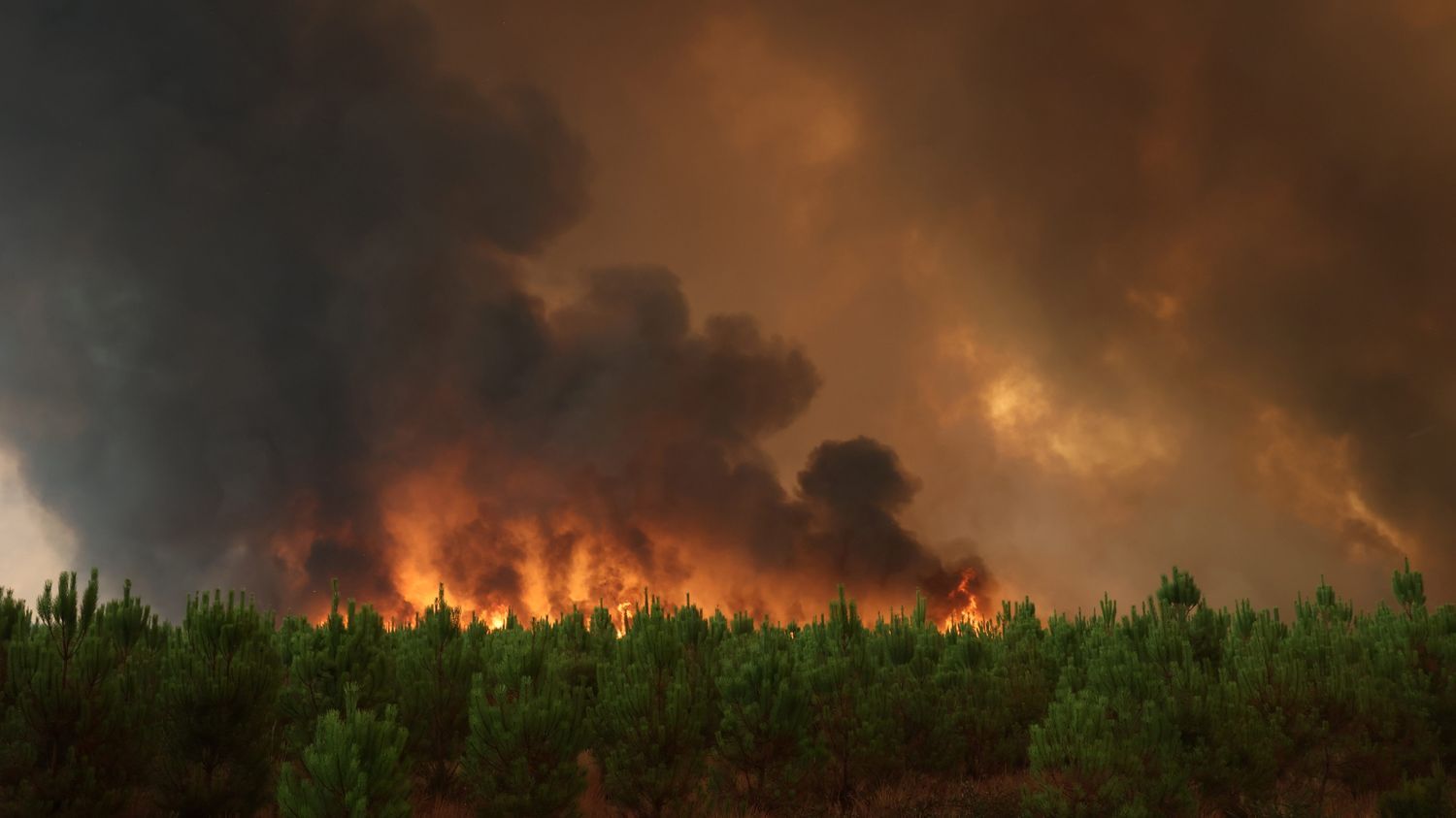 Météo France dévoile sa "météo des forêts", nouvel outil de la prévention des incendies