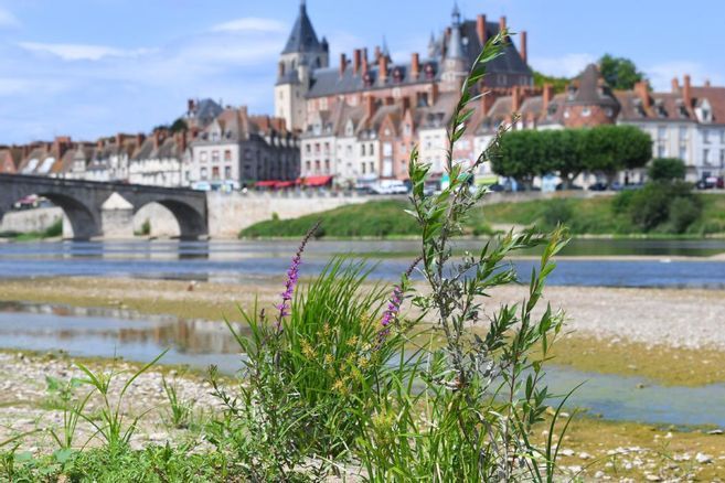 Un premier secteur du Loiret placé en alerte renforcée pour la sécheresse