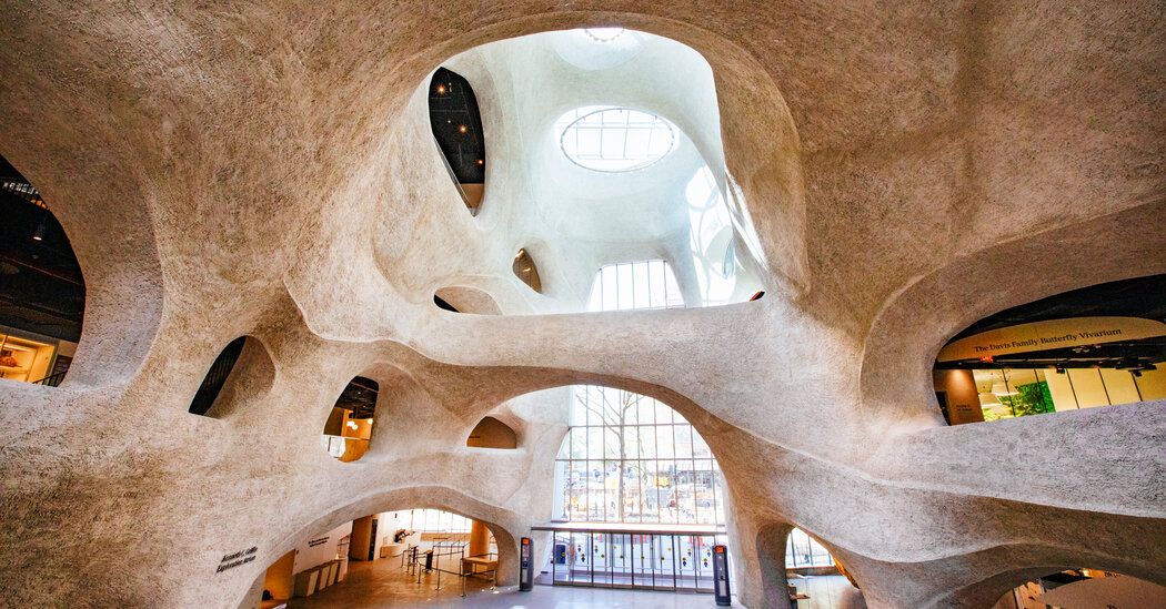 Wonder and Awe In Natural History’s Stunning New Wing.