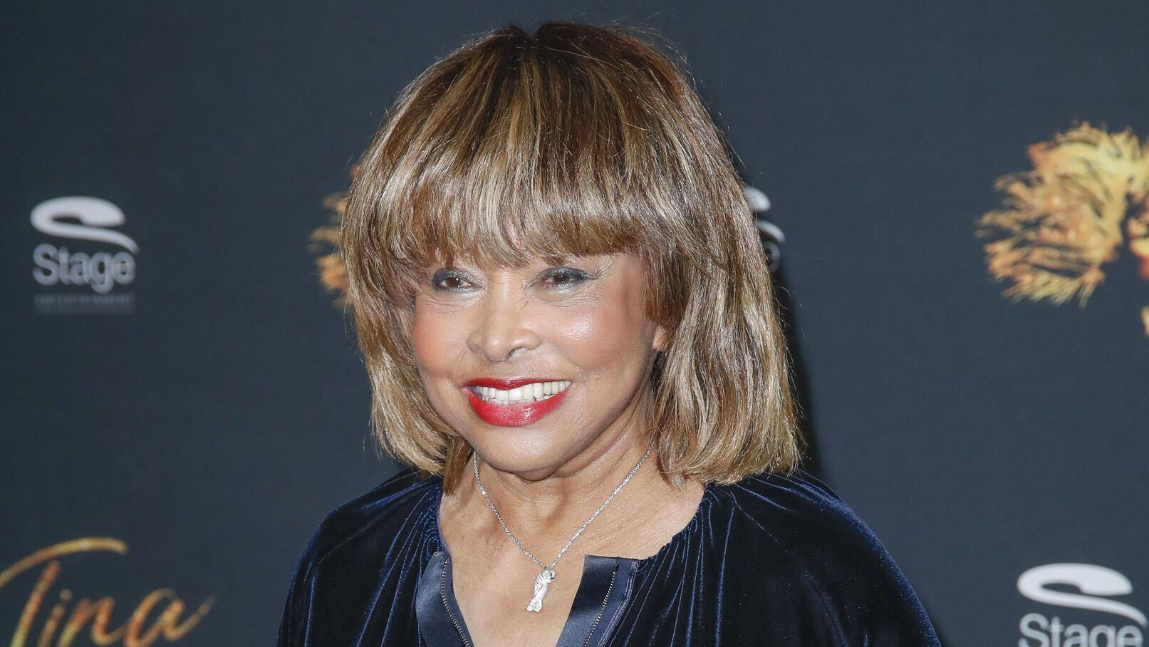 Tina Turner : ce geste magnifique de son mari pour lui sauver la vie alors qu'elle était gravement malade