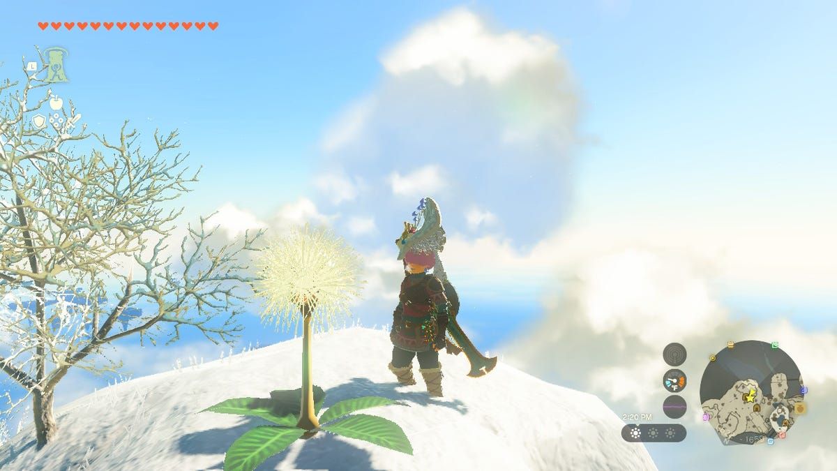 How To Solve Dandelion Korok Puzzles