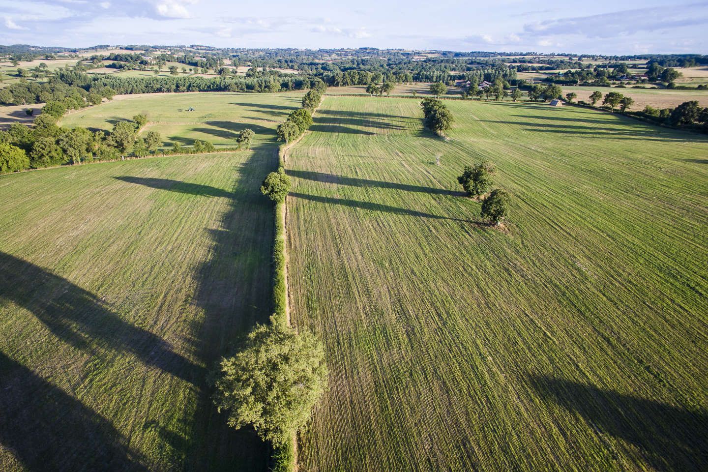 En France, un renchérissement des terres agricoles en 2022