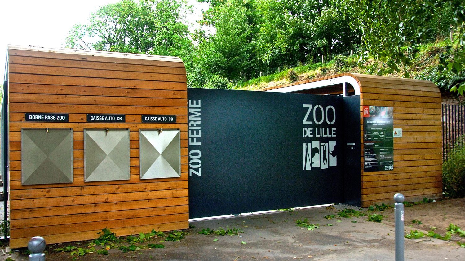 Zoo de Lille : disparition dans la nuit de quatre tortues d'une espèce protégée