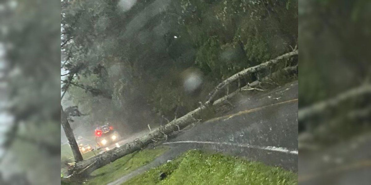 LIVE UPDATES: Severe weather reported across north Georgia, kills one person in Fulton County