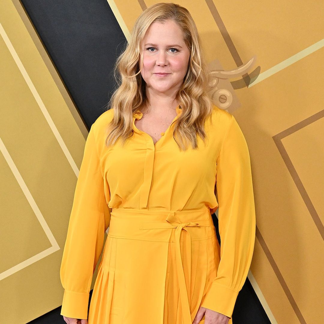 Amy Schumer Reacts to Barbie Film After Exiting Earlier Version