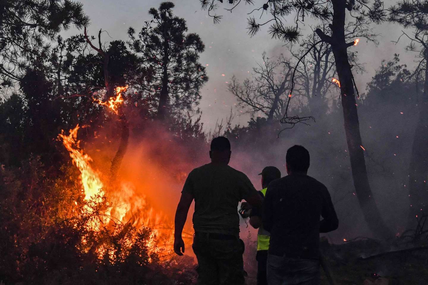 Canicule : la Tunisie et l’Algérie suffoquent, entre incendies et températures proches des 50 °C à l’ombre