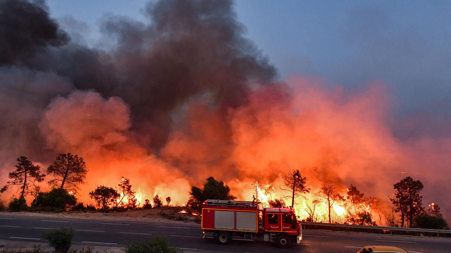 En Algérie, les violents incendies ont provoqué la mort de 34 personnes, dont 10 militaires