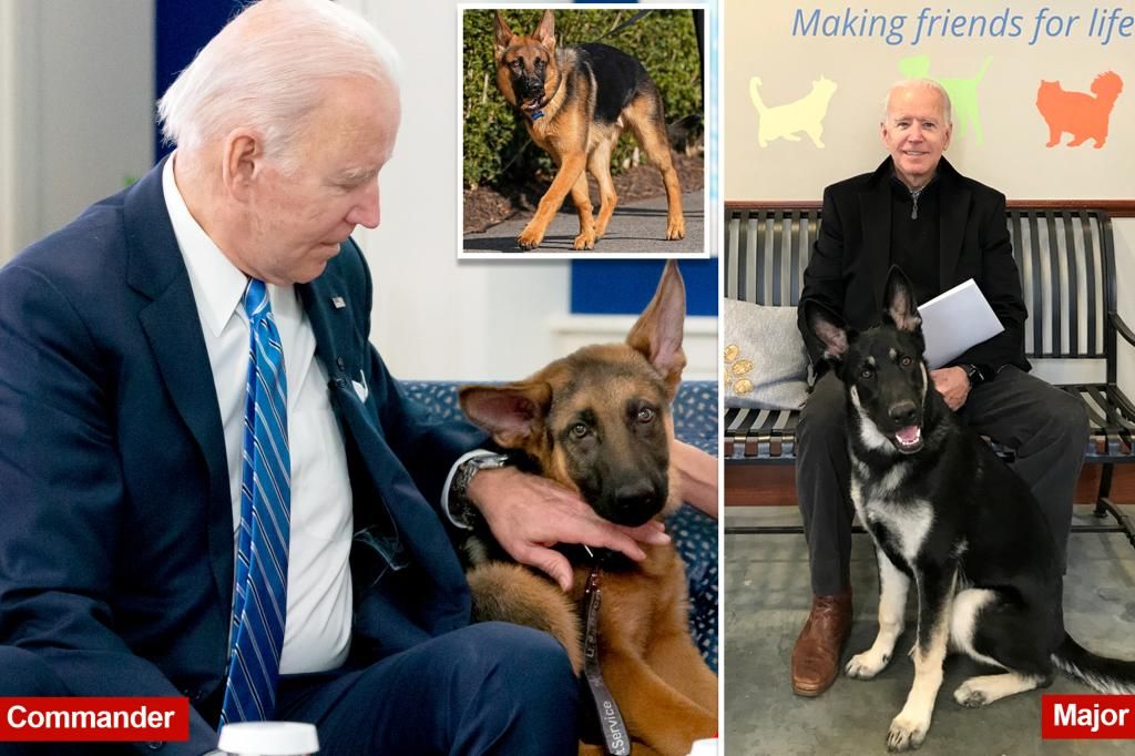 Biden dog Commander bit or threatened 10 people, sent one to hospital