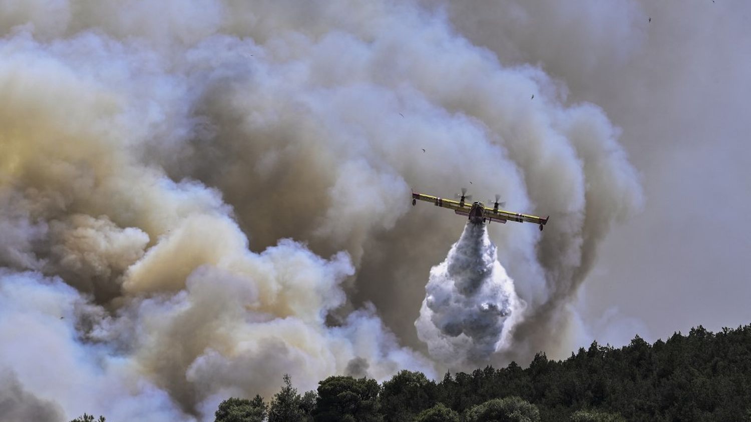 Incendies en Grèce : un avion bombardier d'eau s'écrase en luttant contre les flammes