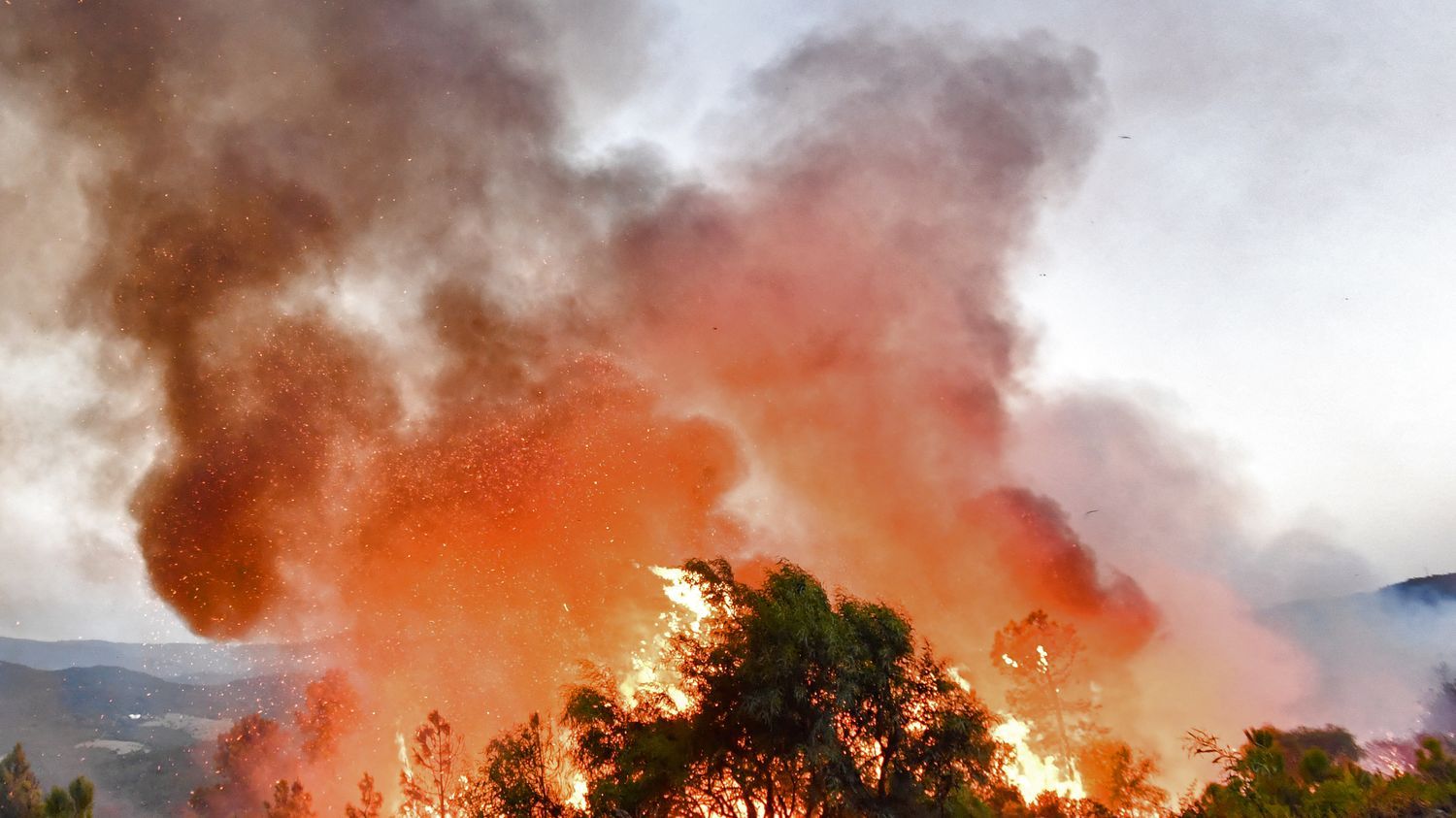 "Pourquoi n'a-t-on pas pu éviter la catastrophe ?" : après 34 morts dans des incendies en Algérie, des voix s'élèvent contre les autorités "débordées"