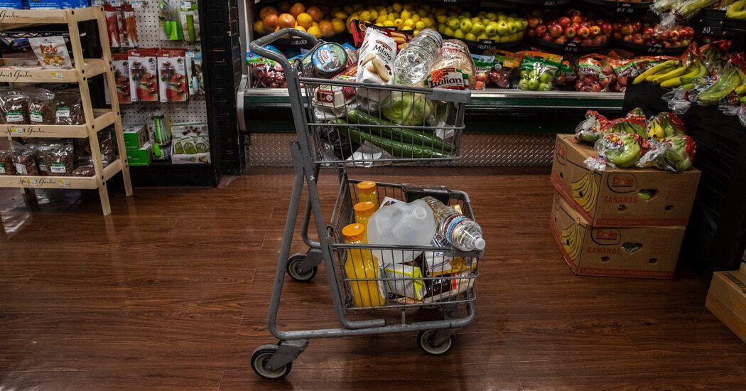 Instacart Reveals $428 Million in Profit but Slowing Growth Ahead of I.P.O.