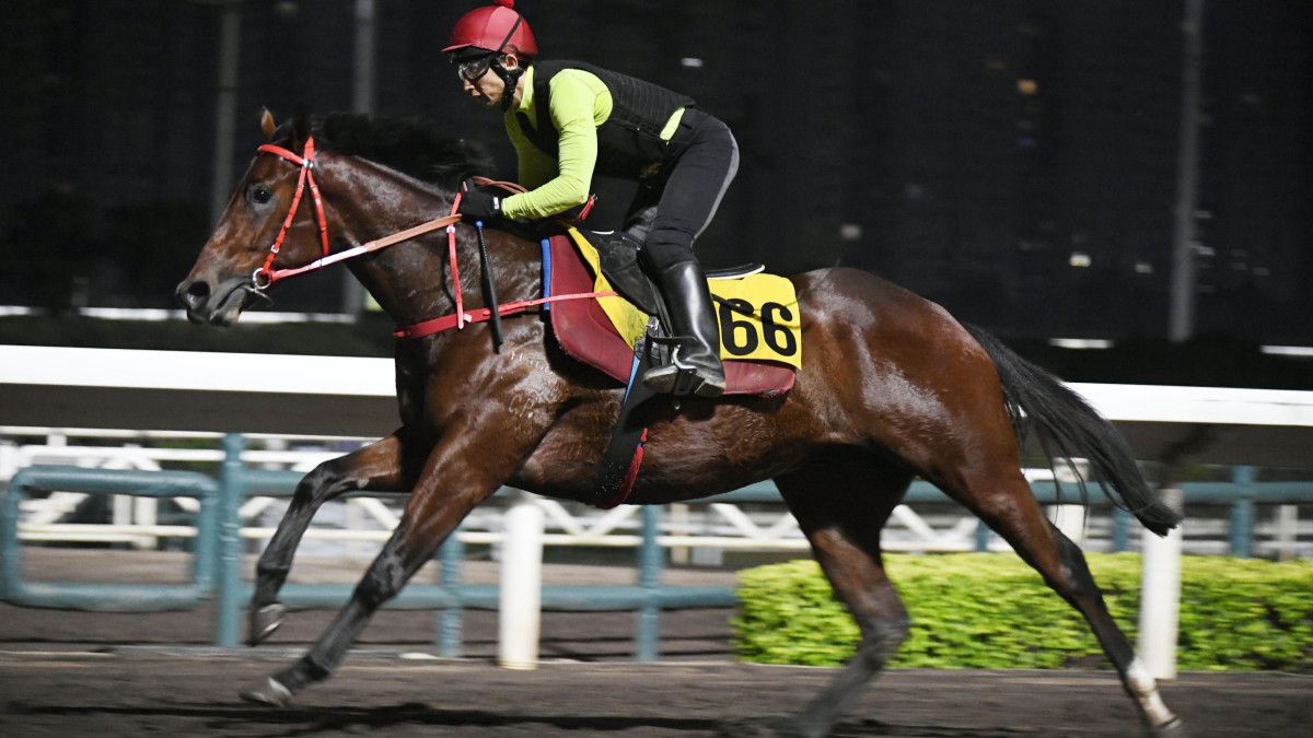 知道長勝有暗火