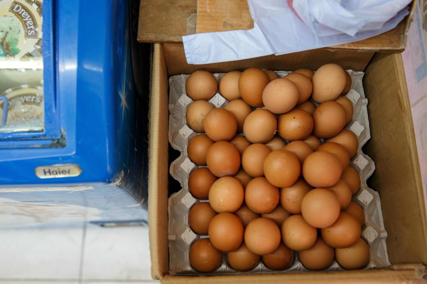 Contamination aux salmonelles : rappel massif d’œufs dans la France entière