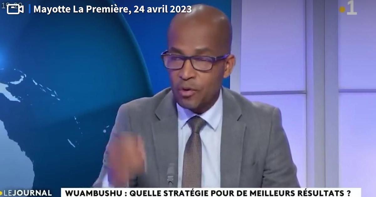 Un élu de Mayotte s'excuse après avoir appelé à "tuer" les "délinquants"