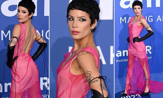 Halsey wows in semi-sheer pink gown at 2023 amfAR gala during 76th Cannes Film Festival