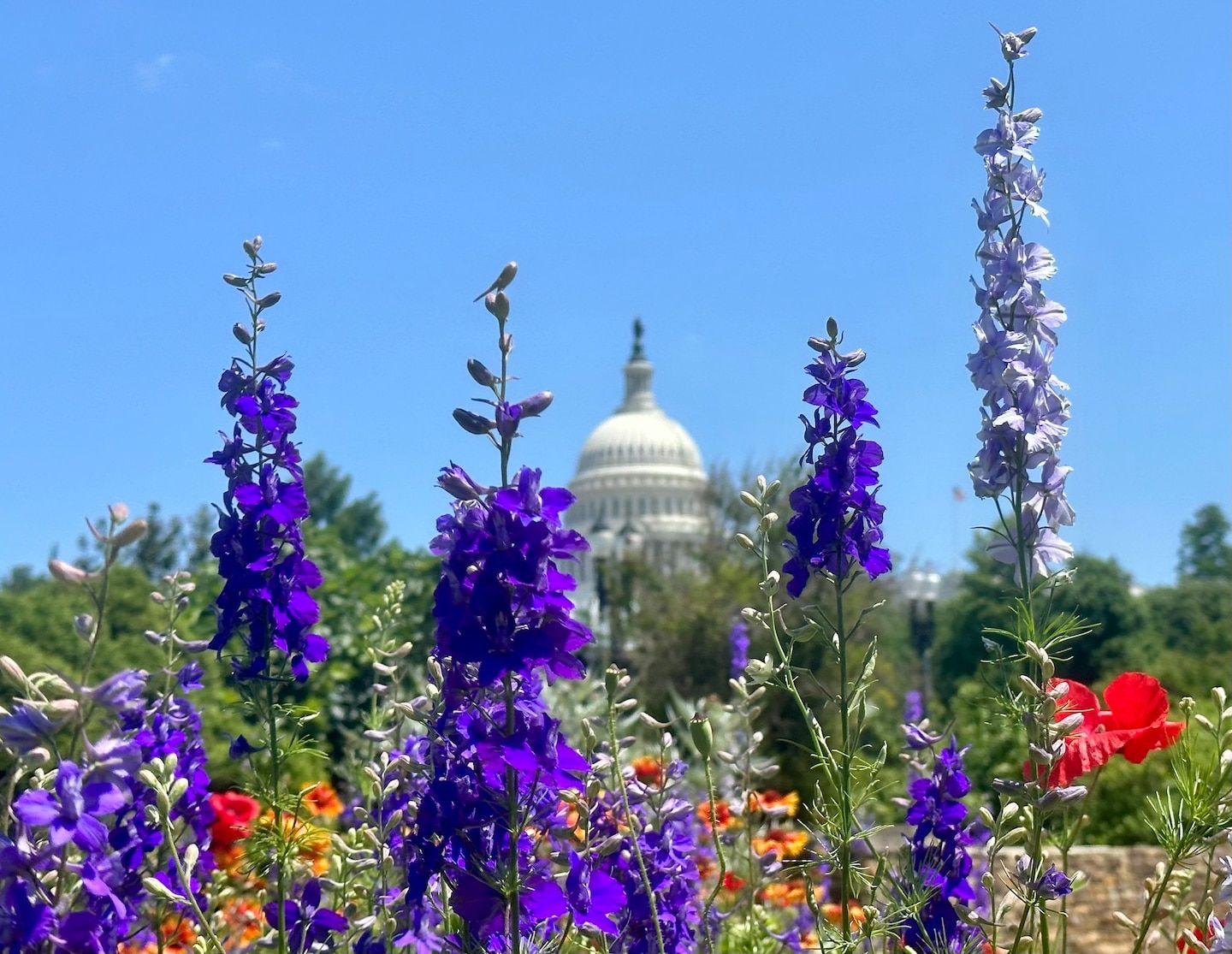 D.C.-area forecast: Sunny today, cloudier tomorrow. Rain chances Sunday and Monday.