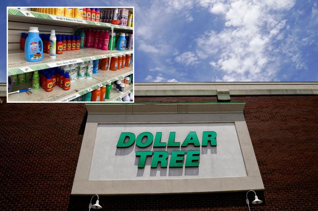 Dollar Tree may be raising prices due to crime as profits fall