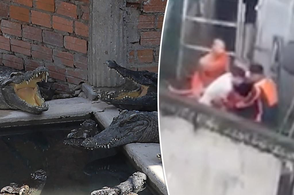 Crocodile farm boss eaten alive after 40 of his own animals ‘pounced’