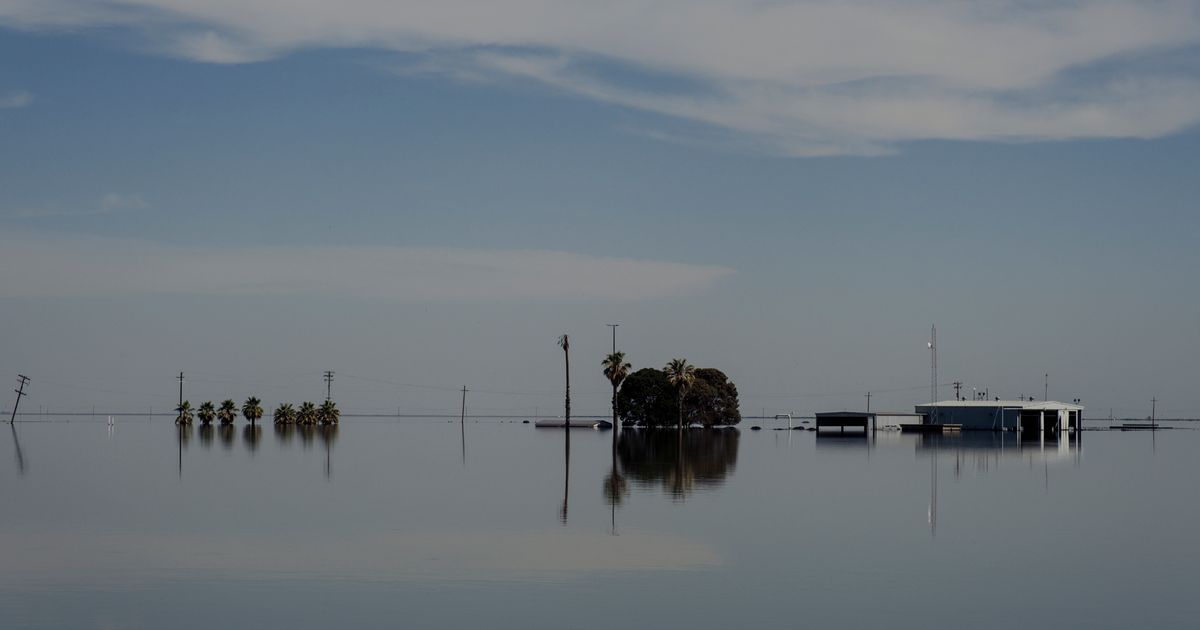 A vast lake has captivated California where farms stood a year ago