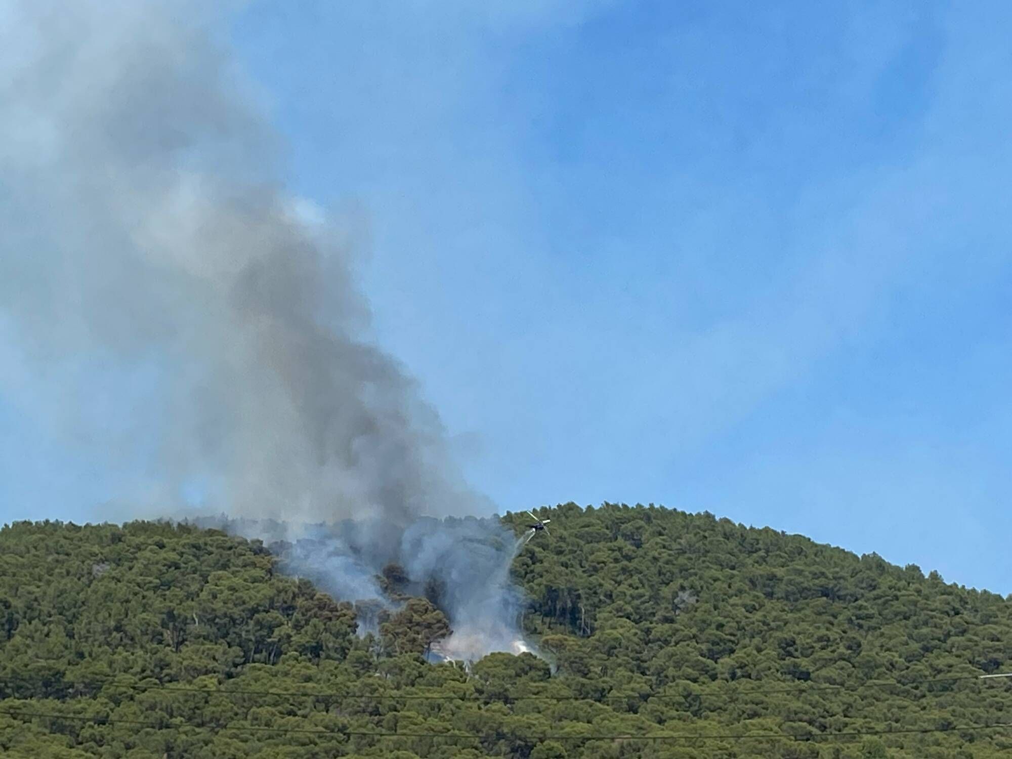 Deux hectares brûlés, la piste criminelle envisagée... Ce que l'on sait du feu qui a ravagé un hectare de végétation dans le Var ce lundi