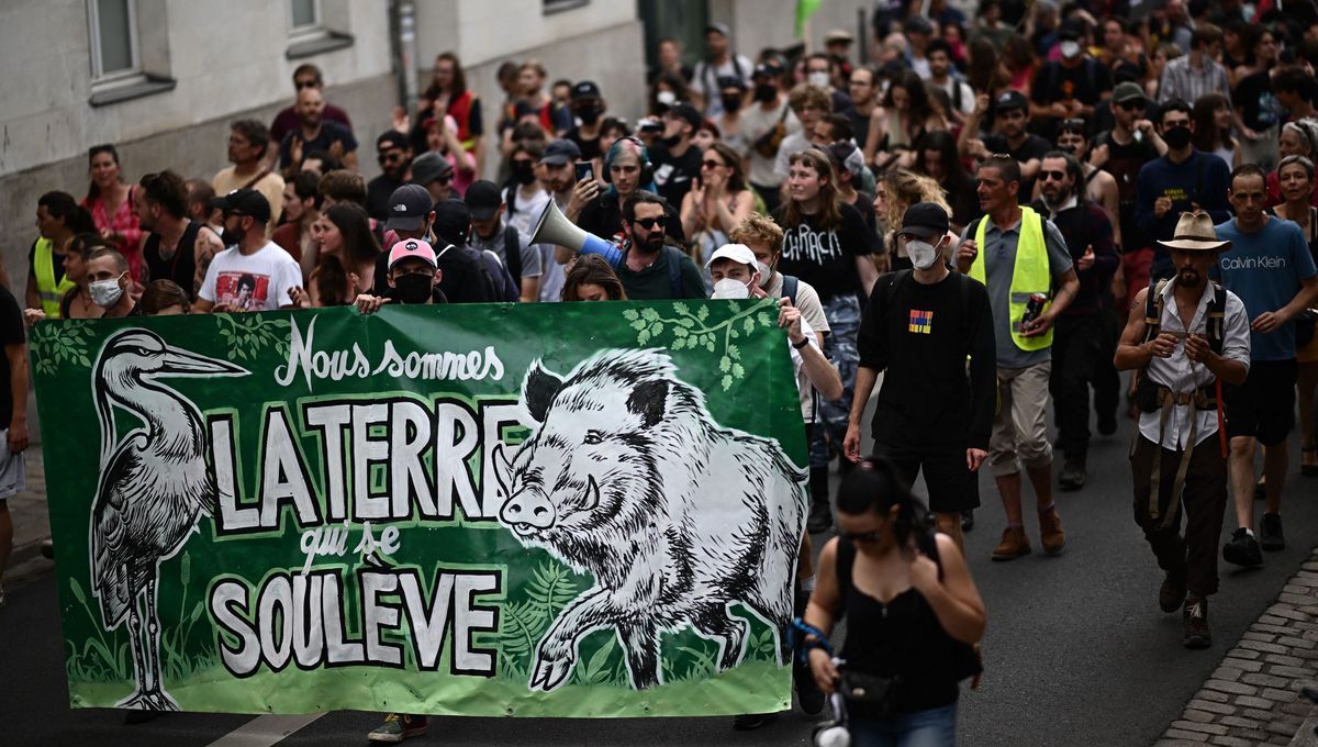 Retour critique sur la pensée de l'activiste écologiste et théoricien Andreas Malm