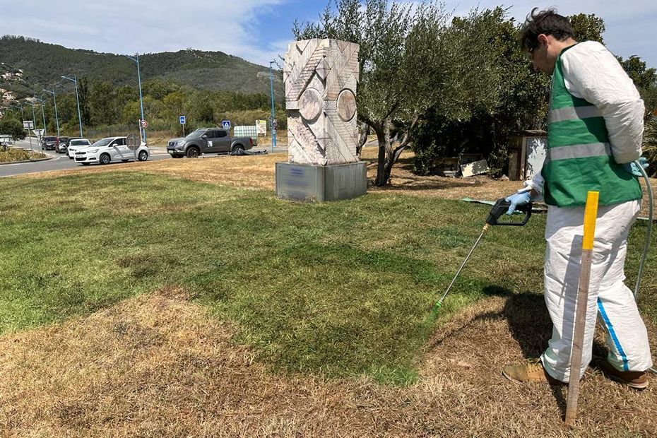 Cette commune des Alpes-Maritimes peint le gazon desséché par la canicule pour le rendre vert