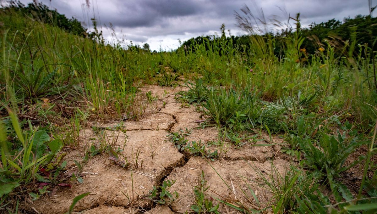 Sécheresse : le département de la Vienne passe en alerte renforcée