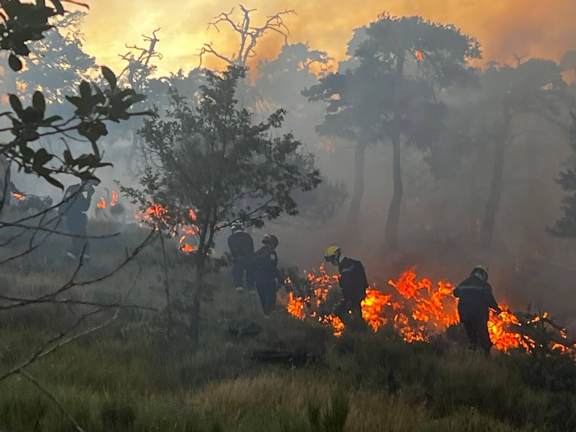 Un incendie dans l'arrière-pays de Nice fait toujours rage, plus de 30 hectares de végétation ont brûlé