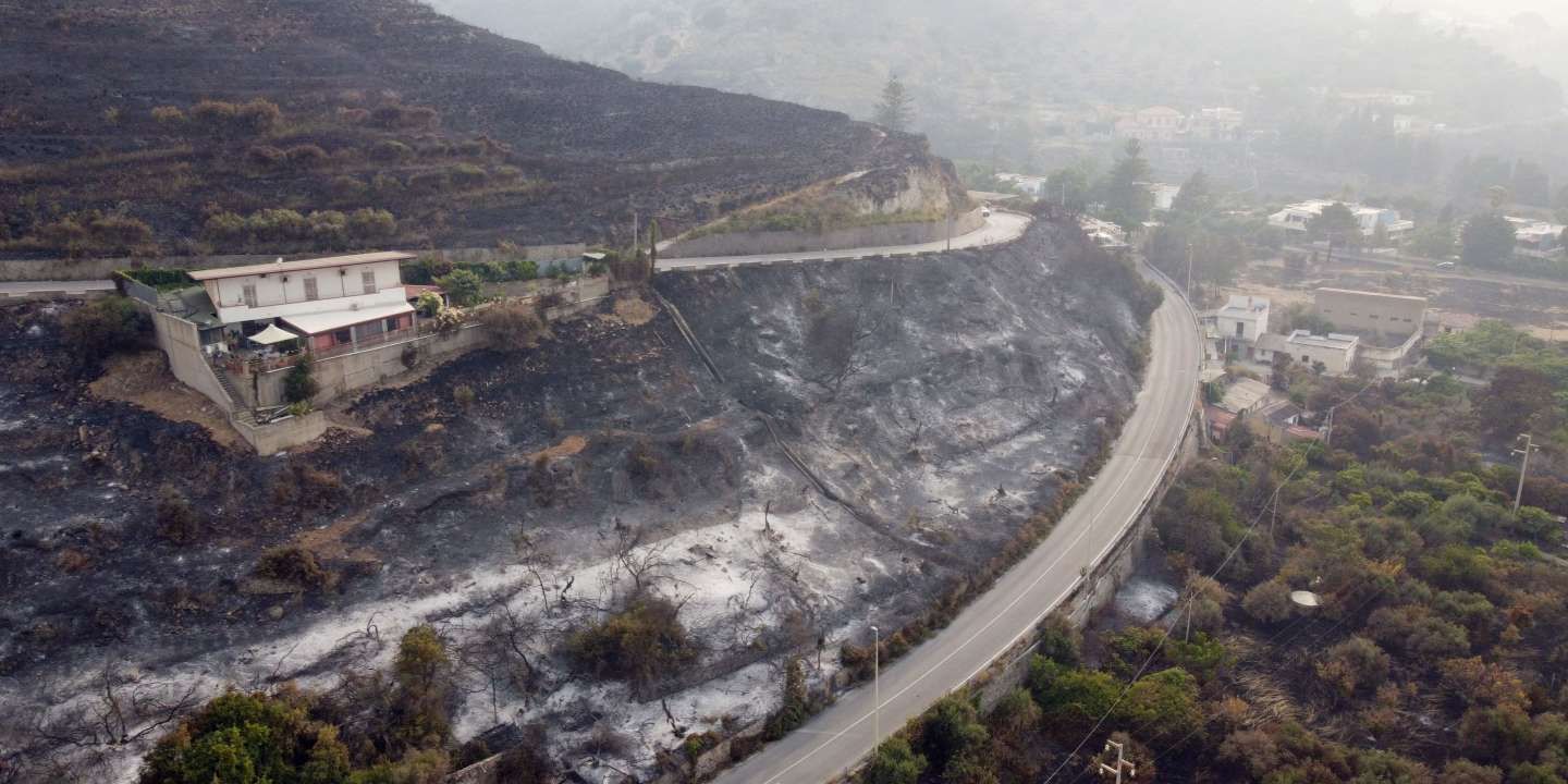 Canicules et incendies en direct : les violents feux en Sicile ne sont toujours pas maîtrisés, ceux en Algérie ont été éteints