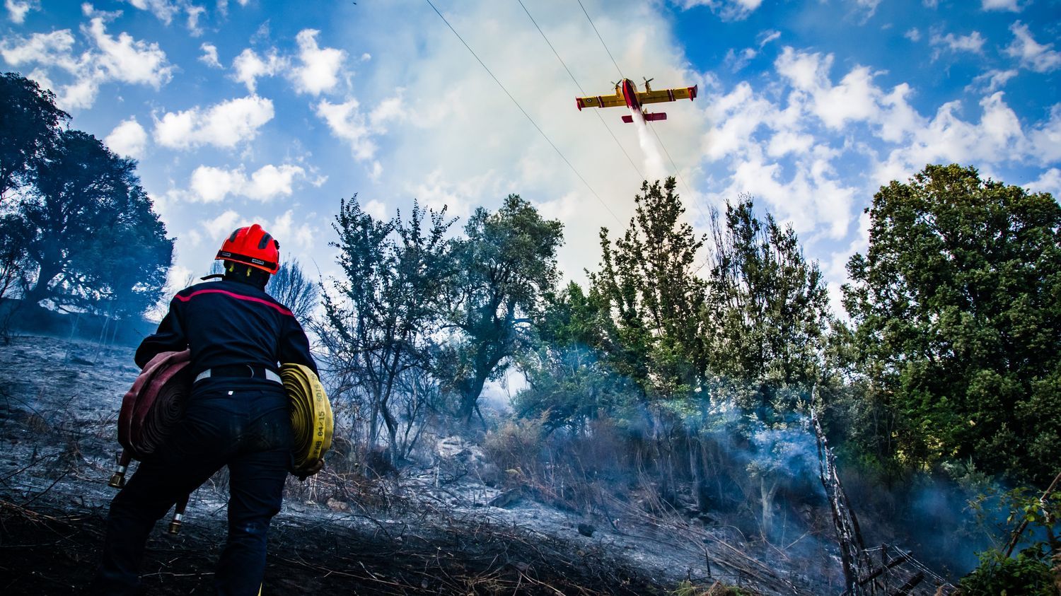 Incendies : on vous explique la différence entre un feu "fixé", "maîtrisé", "circonscrit" ou "noyé"