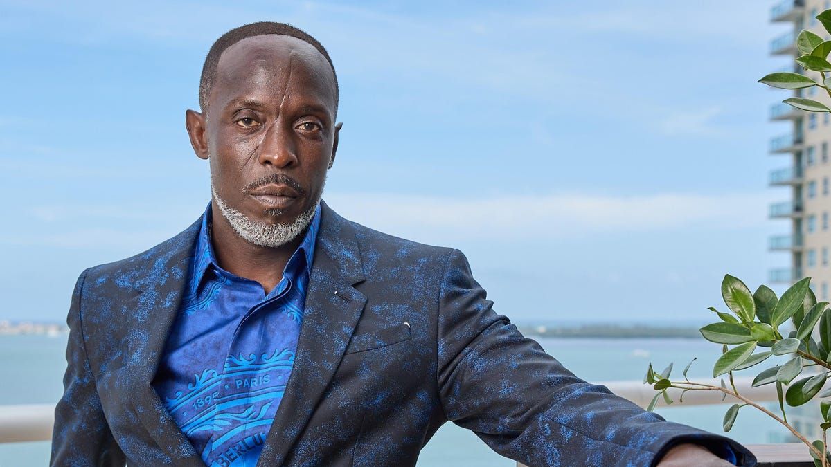 One of Michael K. Williams' drug dealers was sentenced