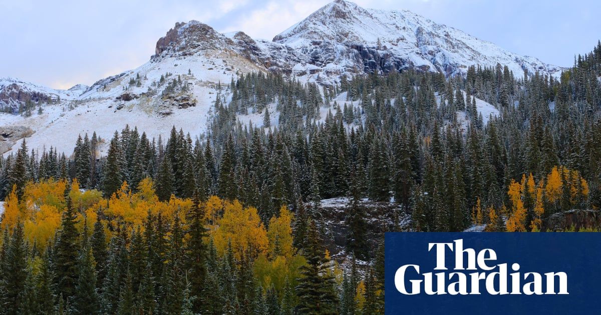 ‘We tried to stop them’: US family found dead in forest wanted to live off grid