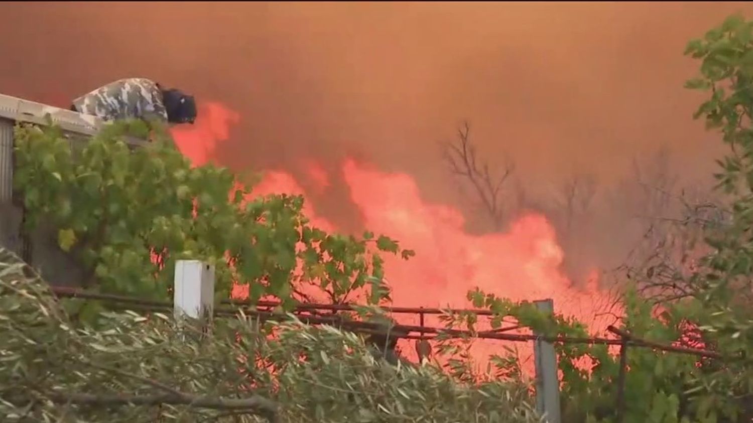 Incendies en Grèce : des villages ravagés par les flammes