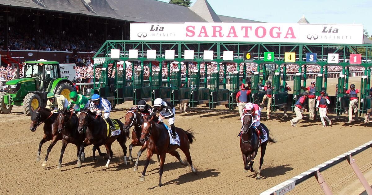 Two more horses die at Saratoga